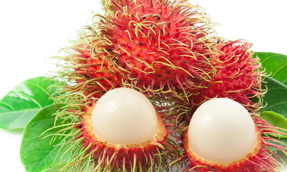 Manfaat Buah Rambutan : Meningkatkan Kinerja Tubuh lebih Kuat